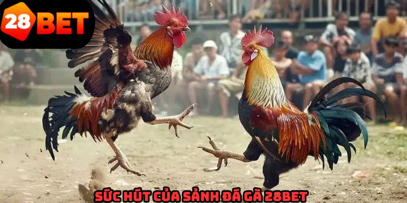 Yếu tố giúp sảnh đá gà 28BET giữ vững vị thế